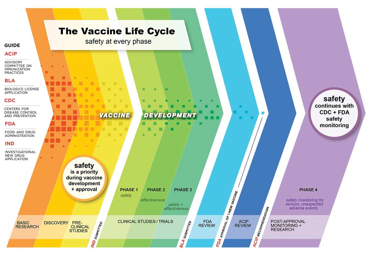 The Vaccine Life Cycle