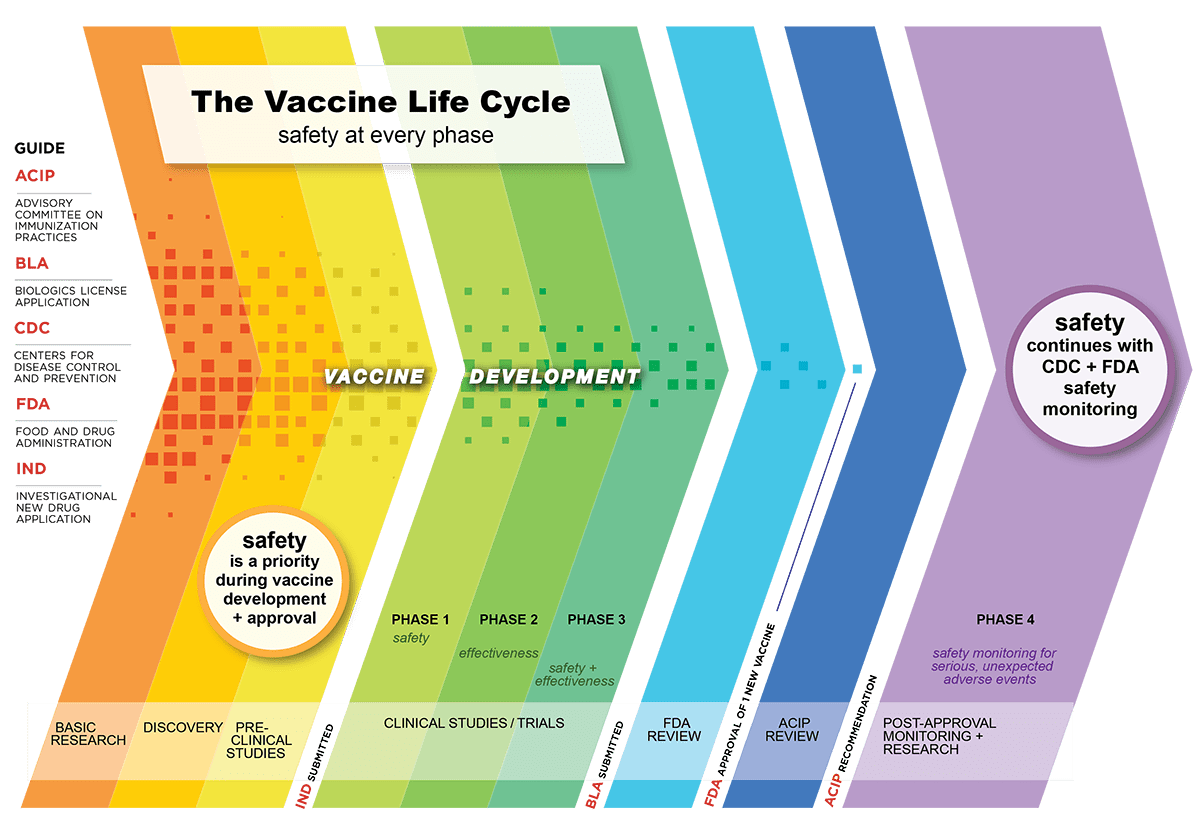 The Vaccine Life Cycle